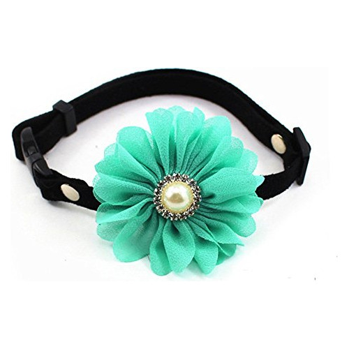 Collar De Cuero Con Flor Y Perla Para Perros