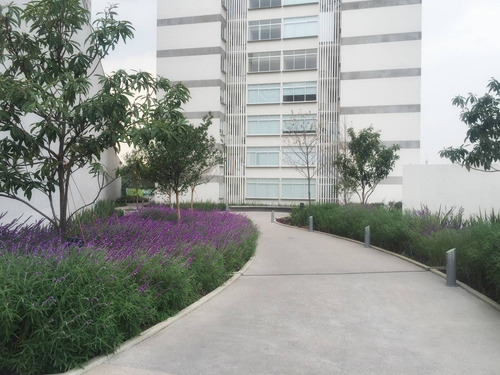 Imagen 7 de 10 de Jardin, Col. Del Gas, 141