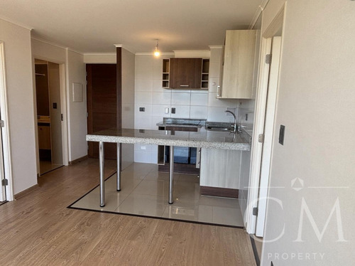 Esplendido Departamento En Parque Krahmer