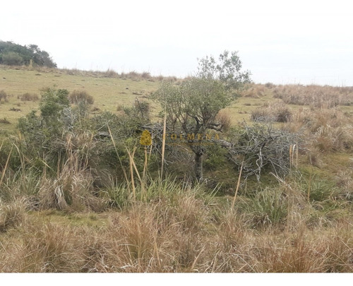Campo 7 Has En Garzon - Consulte!!!!!!!!- Ref: 2110