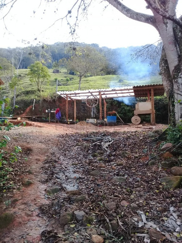 Imagem 8 de 15 de Sitio De 40 Hectares A Venda No Bairro Alto Aririu Em Palhoca - V-82023