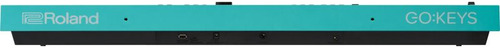 Teclado Musical Roland GOKEYS3-TQ 61 Teclas Verde Claro 220V