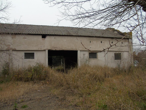 Imagen 8 de 15 de Terreno En Venta En Gonnet Calle 504 E/ Camino Belgrano Y 23 - Dacal Bienes Raices