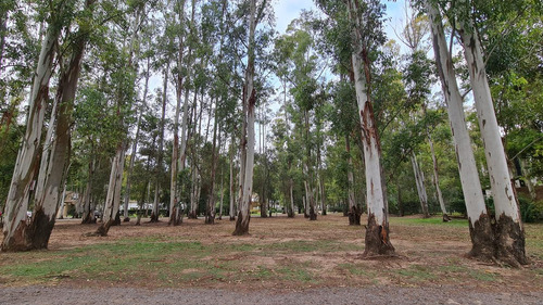 Venta Terreno Barrio Cerrado Puerto Paraíso A Metros Del Rio