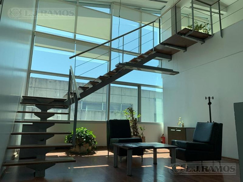 Imagen 8 de 30 de Alquiler De Oficina De 554 M2 En Vicente López
