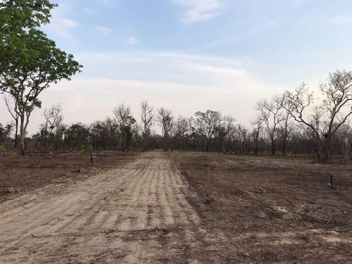 Imagem 10 de 15 de Lote Para Venda Em Acorizal, 07 De Maio - 10117_1-2260711