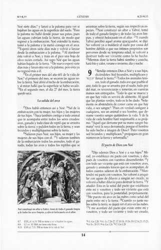 Biblia Del Nuevo Milenio Ecumenica (presentacion En Guaflex), De Baez Camargo, Gonzalo (traduccion). Editorial Trillas En Español