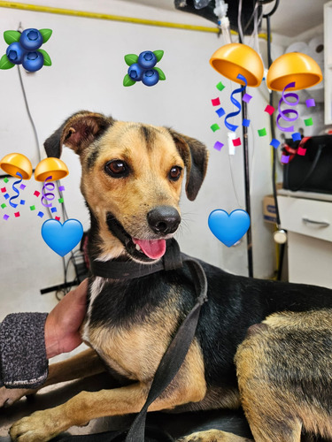 Minguito, Chico De Tamaño, 3 Añitos, Pura Alegría Y Amor. !!