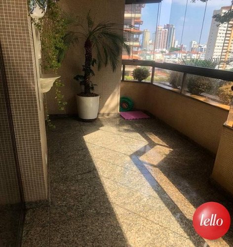 Imagem 8 de 30 de Apartamento - Ref: 227154
