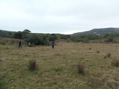 Campo En Venta En Lavalleja, 121 Hectáreas