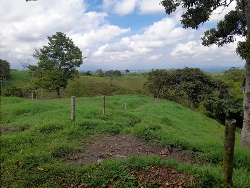 Venta Finca Sector La Pola - 7 Cuadras