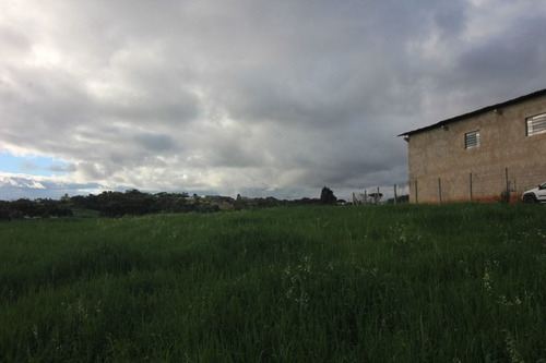 Imagem 12 de 13 de Terreno À Venda, 2500 M² Por R$ 960.000,00 - Centro - Campo Magro/pr - Te0364