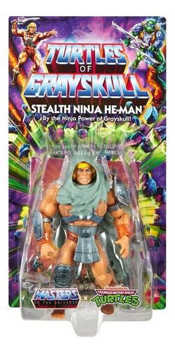 Action Figure Heman Masters Of Universe Turles Stealth Ninja
