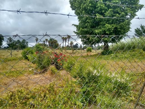 Sitio En Venta En El Sector De Quepe, Comuna De Freire