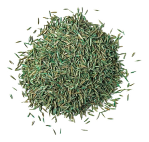 Semillas De Grass Americano Premium 1 Kg