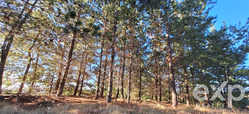 Vende Rebajado Parcela 1 Has Con Vista Al Mar, Pichilemu