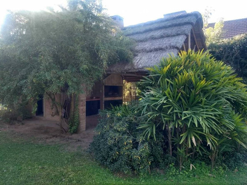 Imagen 6 de 14 de Calle Orquídeas S/n- Dos Lotes Forestados- Venta- Barrio Las Paltas Colástine.-