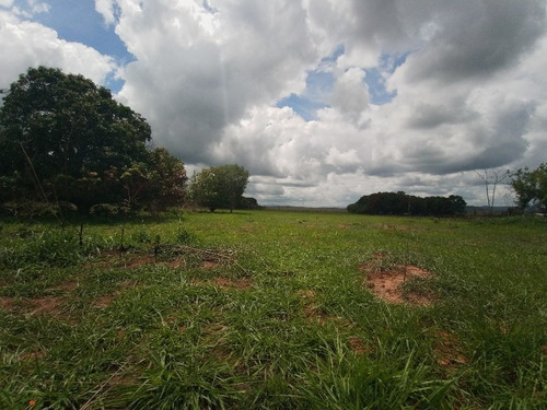 Imagen 8 de 12 de Finca En Tinaquillo Edo-cojedes