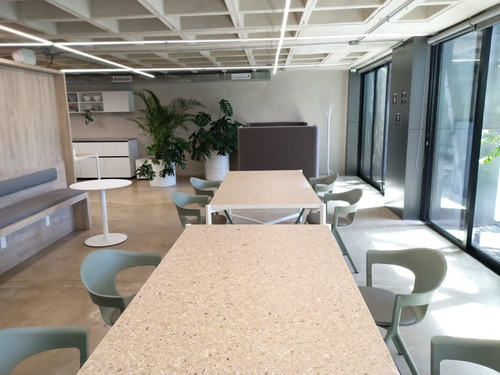 Imagen 6 de 8 de Renta Oficinas Amuebladas Co-working En Polanco