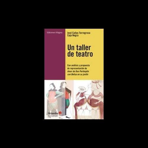 Un Taller De Teatro : Con Análisis Y Propuesta De Presentaci