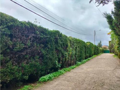 Lote Campestre Con Licencia En Venta - Vereda La Balsa - Chía