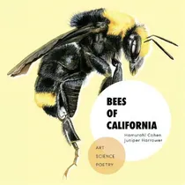Comprar Bees Of California : Art, Science, And Poetry, De Vermeulen Sofia., Vol. 1. Editorial Symbiostudio, Tapa Blanda En Inglés