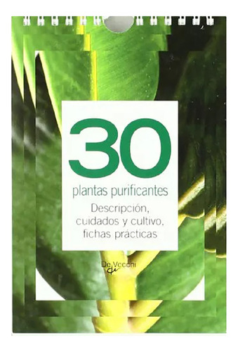 30 Plantas Purificantes . Descripcion , Cuidados Y Cul - #c