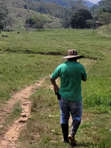 Se Vende Finca Ganadera En Doradal