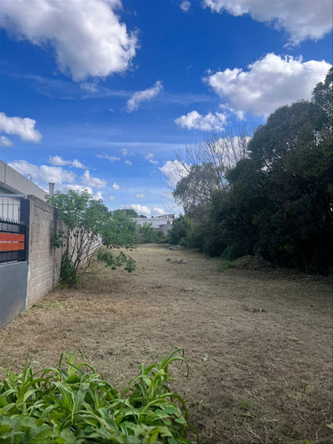 Se Alquila Terreno En Carrasco Norte