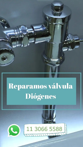 Imagen 1 de 1 de Valvula Diógenes Reparación