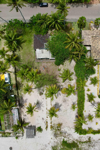 Vende-se Cabana Pé Na Areia Na Praia De Canavieiras, Bahia