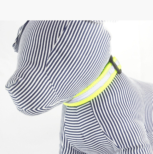 Collar Reflejante Para Perro Amarillo Neón - Mediano