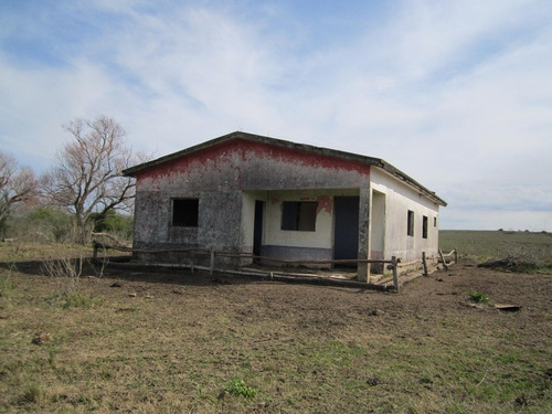 49 Hás Próximas A Tapia