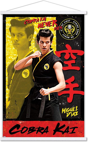 Cobra Kai - Póster De Pared De Miguel Con Marco Magné...