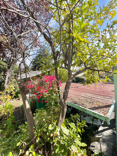 Oportunidad! En Amplio Terreno 370 M2, Manquehue N. - Video!
