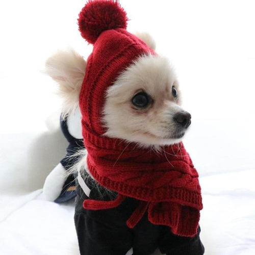 C Disfraz De Mascota, Gorro, Bufanda Tejida, Cálida, Ropa