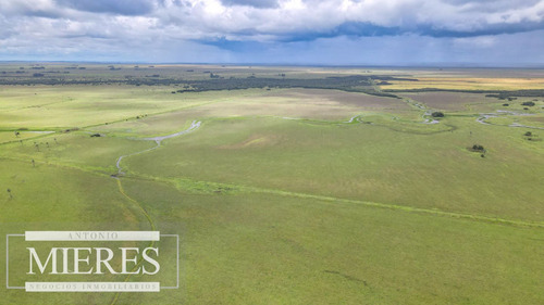 Campo En Rocha Ganadero Agrícola 125ha (ref: Atm-7988)