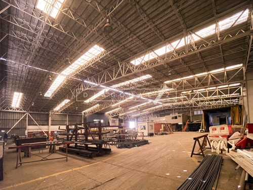 Imagen 6 de 13 de Bodega En San Bernardo