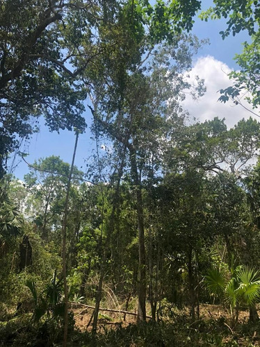 Lote En Venta En La Ruta De Los Cenotes. Qta. Roo.