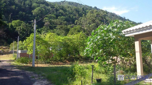 Imagem 6 de 10 de Terreno À Venda, 257 M² - Campo Grande - Rio De Janeiro/rj - Te0084
