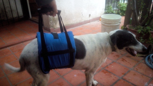 Faja Lumbar P/perros Discapac T 1 Y 2 Ortopedia Veterinaria