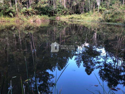 Imagem 5 de 23 de Área, São Lourenço, São Lourenço Da Serra - R$ 980 Mil, Cod: 4246 - V4246