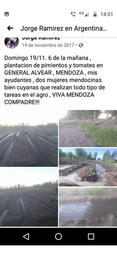 Imagen 6 de 12 de Chacra , Dos Hectáreas , Con Casa Grande Antisísmica