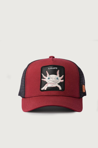 Gorra Ajolote Algodón Orgánico Burgundy Wild Lama