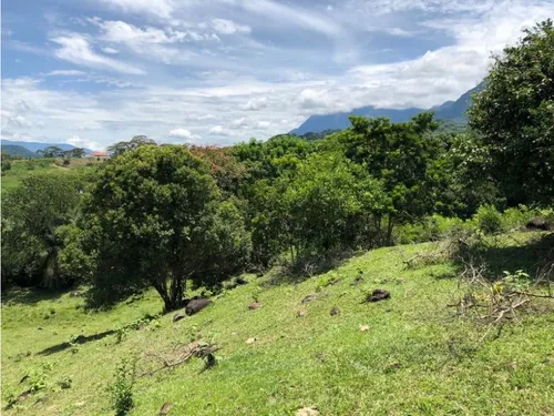 Lote En Venta Sector Cauca Viejo