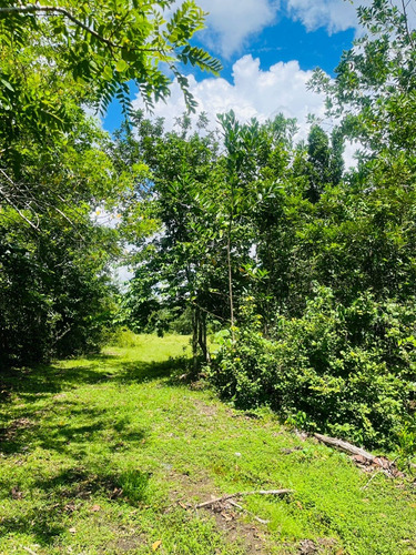 Terreno En Zona Ecoturistica De Monte Plata 