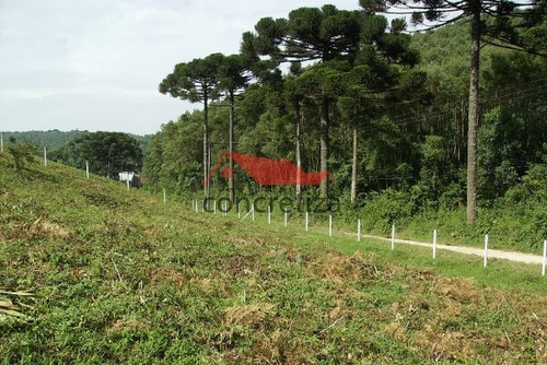 Imagem 7 de 16 de Terreno Em Rua - T662-v