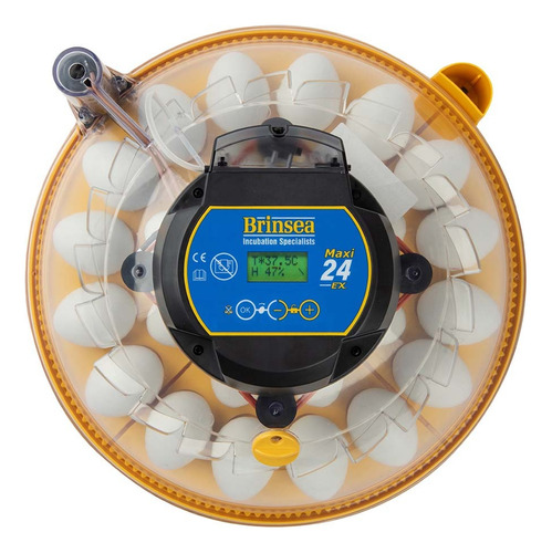 Chocadeira Digital Automatica Umidade - Brinsea Maxi 24 Ex 127v