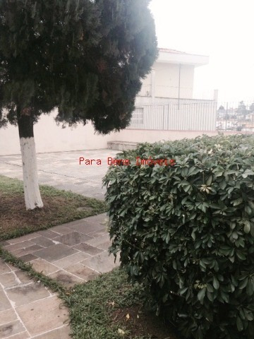 Imagem 3 de 15 de Apartamento - Ap10011 - 2513020