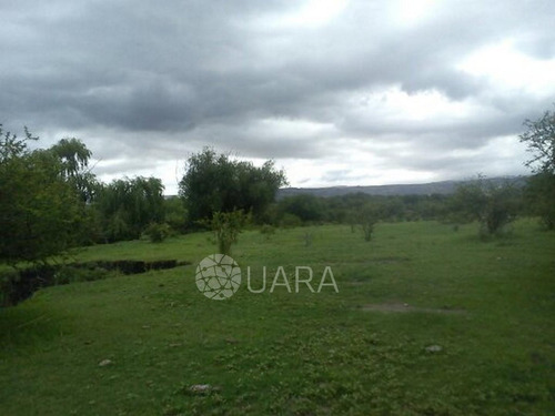 Imagen 6 de 12 de Campo En Venta A 5km Del Centro De Mina Clavero S/ruta 14